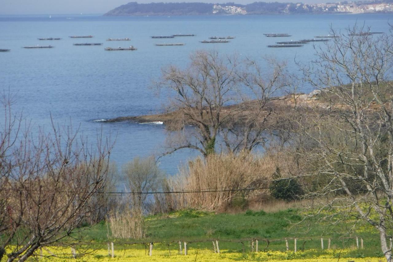 Vilaseca 49 Ardan Marin Pontevedra エクステリア 写真